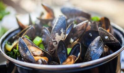 123m-mosselen-zeevruchten-schaaldieren-2022